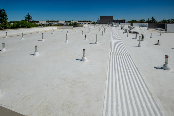 Best Gutter Installation and Repair  in Quail Ridge, FL